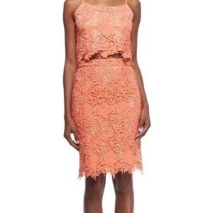 Alice + Olivia Coral Crochet Lace Pencil Skirt, Lined - Size 4